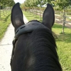 Frantisi Horse Bits Acavallo Gel Nose Or Poll Guard