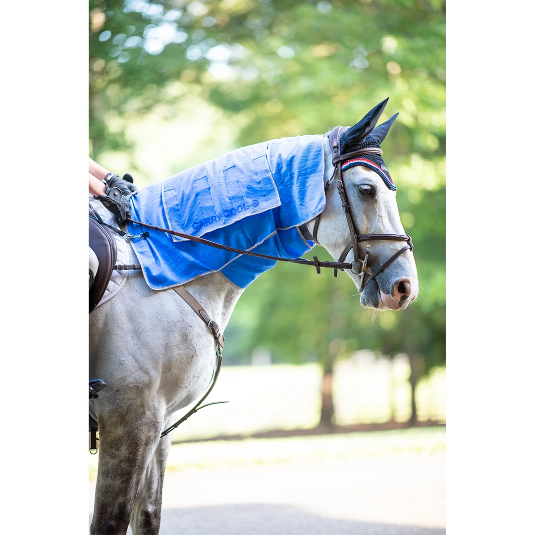 EquiSources Carry-Cool Sport Horse Cooling Kit 4 EquiSources Carry-Cool Sport Horse Cooling Kit