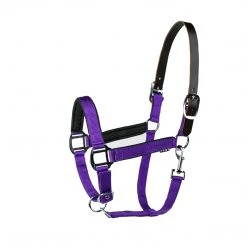 Union Hill Millstone Neoprene Breakaway Halter Halters & Leads 9 Union Hill Millstone Neoprene Breakaway Halter Halters & Leads