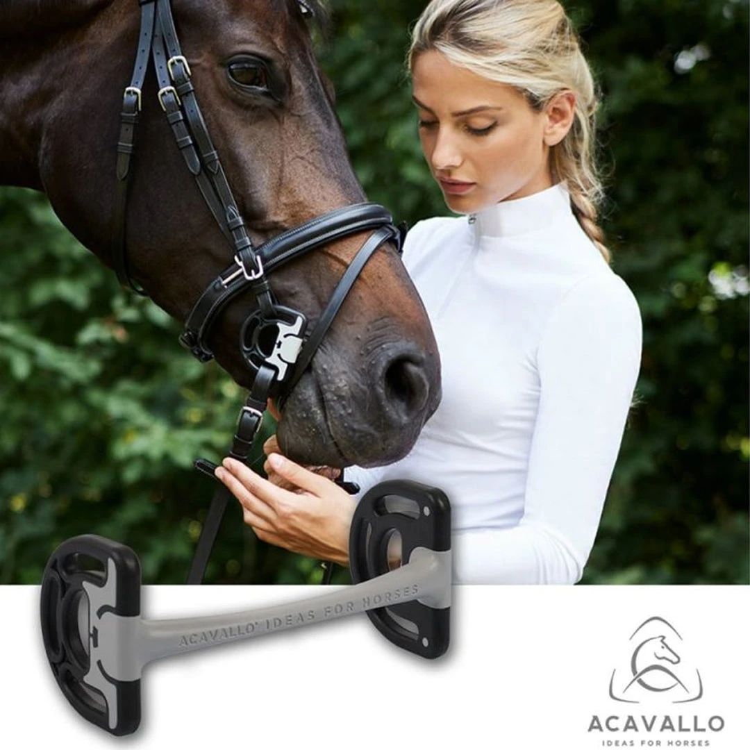 Frantisi Acavallo Sensitive Bit 11 Frantisi Acavallo Sensitive Bit