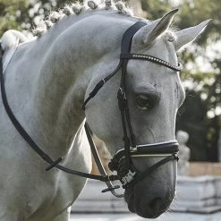 Frantisi Acavallo Sensitive Bit 27 Frantisi Acavallo Sensitive Bit