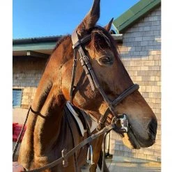 Frantisi Acavallo Sensitive Bit 26 Frantisi Acavallo Sensitive Bit