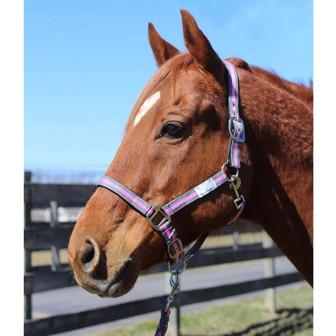 JPC Equestrian Tuffrider Nylon Breakaway Halter And Lead 4 JPC Equestrian Tuffrider Nylon Breakaway Halter And Lead