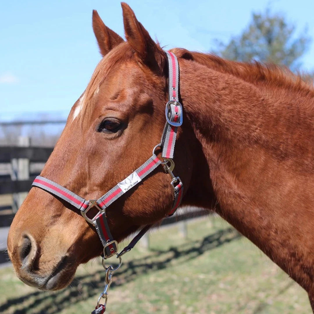JPC Equestrian Tuffrider Nylon Breakaway Halter And Lead 6 JPC Equestrian Tuffrider Nylon Breakaway Halter And Lead
