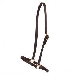 Perri's Leather Halters & Leads Perri's Grooming Halter