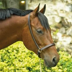 Perri's Leather Halters & Leads Perri's Grooming Halter