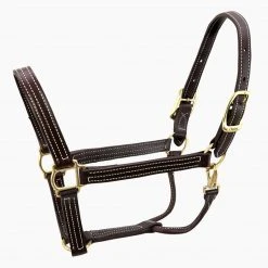Walsh British Halter Halters & Leads
