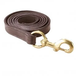 Halters & Leads Perri's Leather Lead With Snap