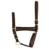 Perri's Leather Perri's Economy Leather Halter Halters & Leads