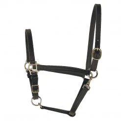 Perri's Leather Turnout Halter Halters & Leads