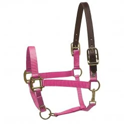 Perri's Leather Perri's Premium Nylon Safety Halter Halters & Leads