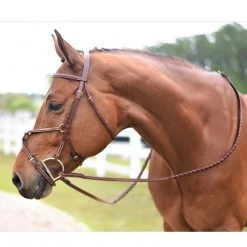 Huntley Equestrian Huntley Fancy Stitch Figure 8 Bridle