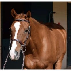 English Bridles Huntley Equestrian Sedgwick Leather Fancy Stitched Bridle 29 English Bridles Huntley Equestrian Sedgwick Leather Fancy Stitched Bridle
