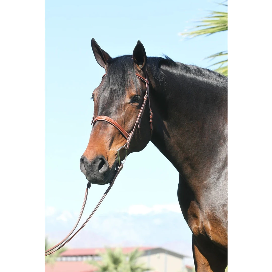 English Bridles Huntley Equestrian Sedgwick Leather Fancy Stitched Bridle 16 English Bridles Huntley Equestrian Sedgwick Leather Fancy Stitched Bridle