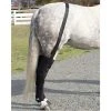 Ice Horse Full Hind Leg Wrap 1 Ice Horse Full Hind Leg Wrap