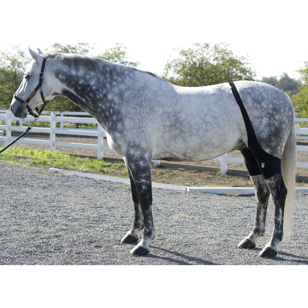 Ice Horse Stifle Wrap Therapeutic Horse Boots & Wraps 3 Ice Horse Stifle Wrap Therapeutic Horse Boots & Wraps