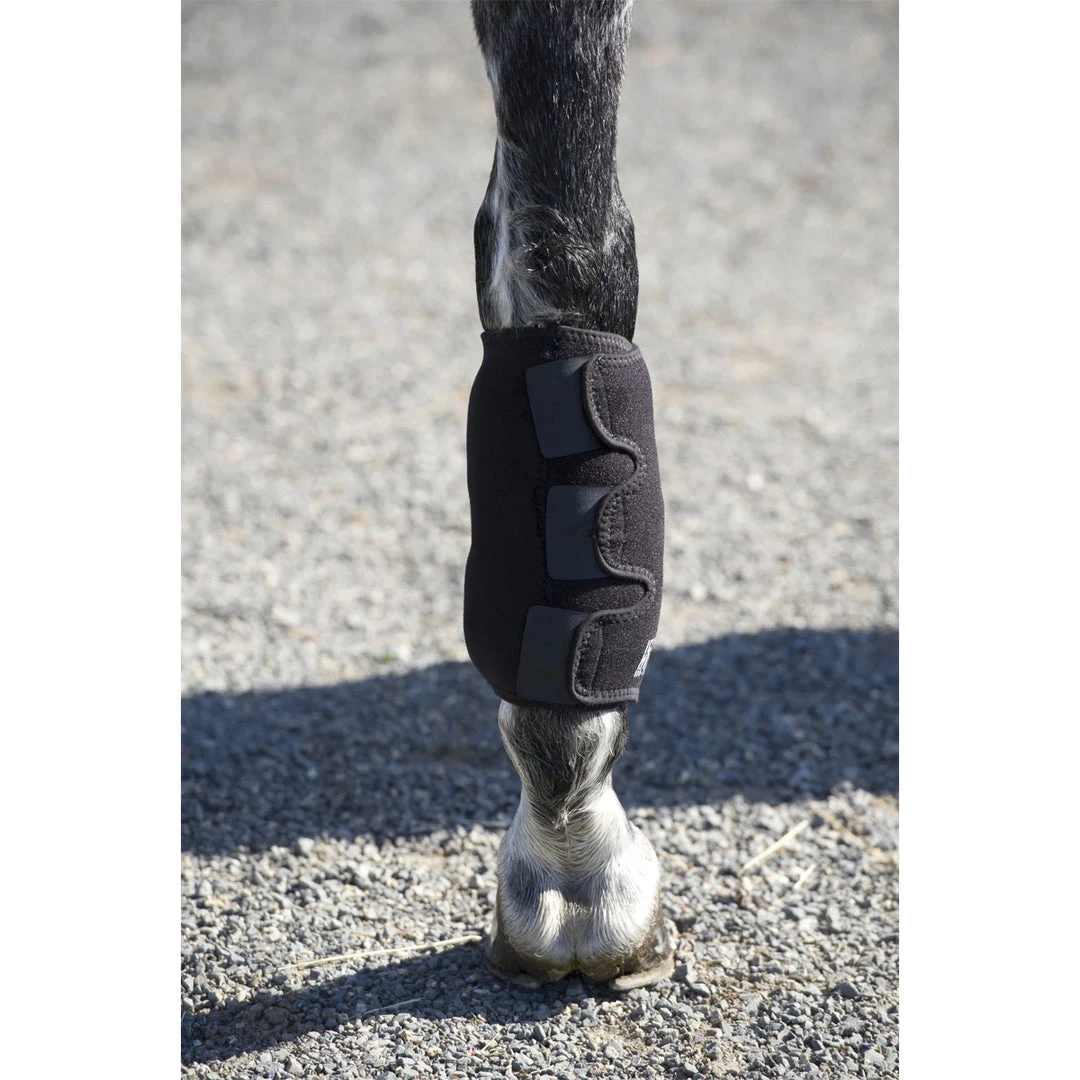 Therapeutic Horse Boots & Wraps Ice Horse Tendon Wrap 8 Therapeutic Horse Boots & Wraps Ice Horse Tendon Wrap