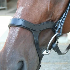 Nunn Finer Innovativo Shaped Bridle English Bridles 9 Nunn Finer Innovativo Shaped Bridle English Bridles