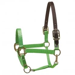 Perri's Leather Perri's Premium Nylon Safety Halter Halters & Leads
