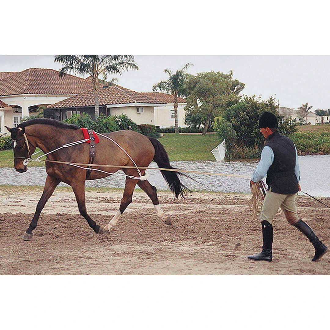 English Riding Supply Horse Training Equipment Pessoa Lunging System 3 English Riding Supply Horse Training Equipment Pessoa Lunging System