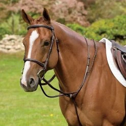 English Riding Supply Martingales, Breastplates, Attachments Rodrigo Pessoa Raised Fancy Standing Martingale