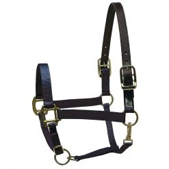 Perri's Leather Perri's Premium Nylon Safety Halter Halters & Leads