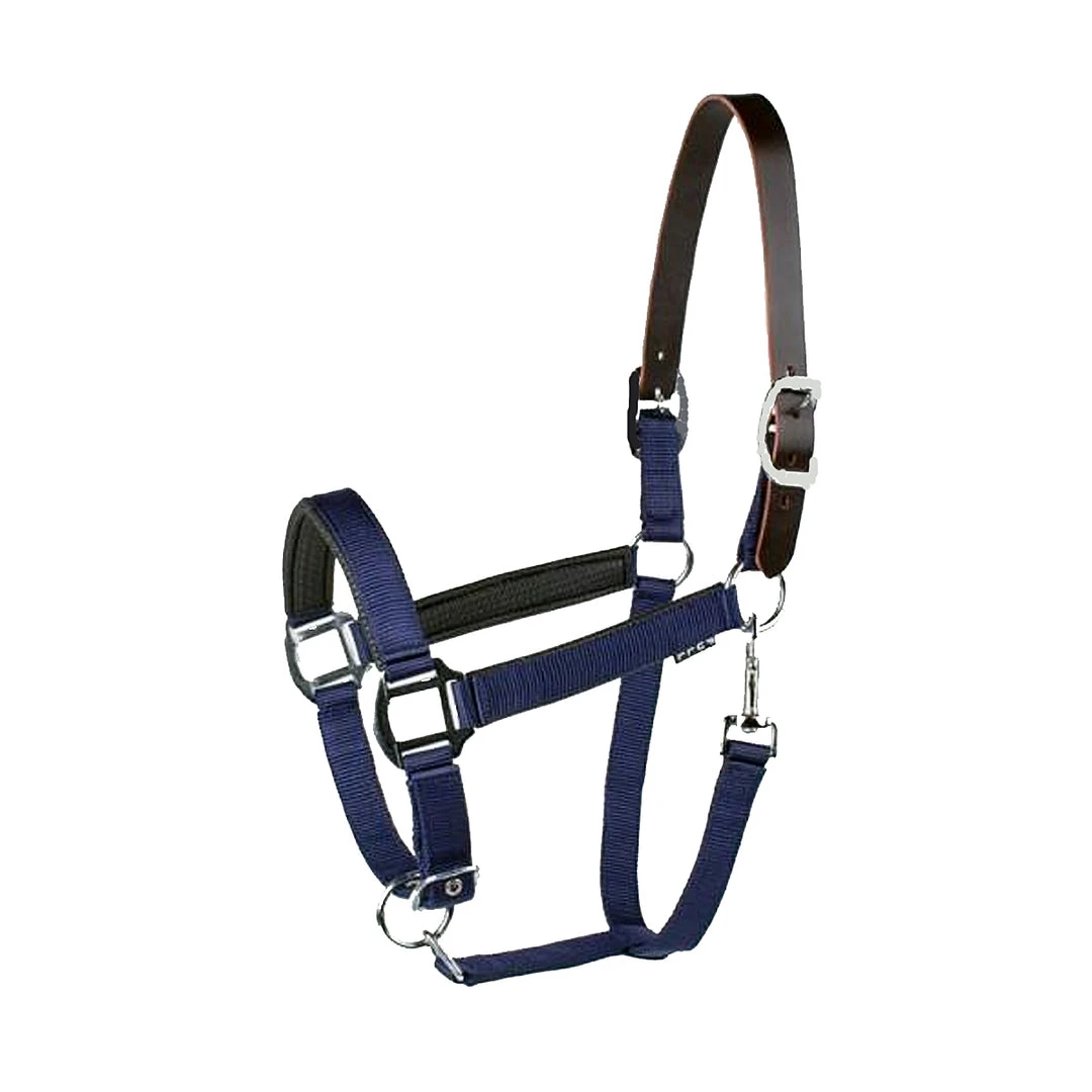 Union Hill Millstone Neoprene Breakaway Halter Halters & Leads 5 Union Hill Millstone Neoprene Breakaway Halter Halters & Leads