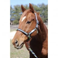 JPC Equestrian Tuffrider Nylon Breakaway Halter And Lead 19 JPC Equestrian Tuffrider Nylon Breakaway Halter And Lead