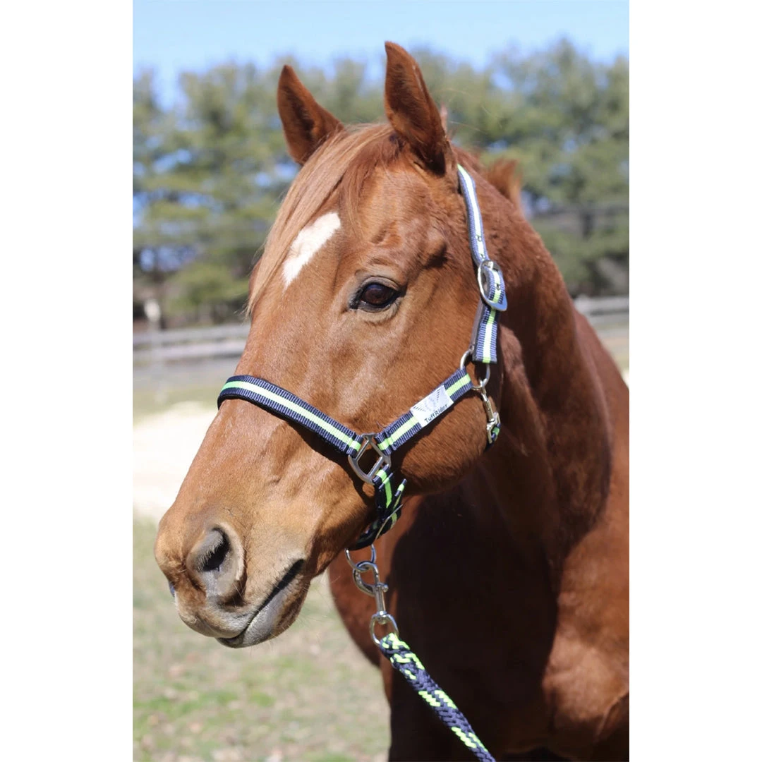 JPC Equestrian Tuffrider Nylon Breakaway Halter And Lead 10 JPC Equestrian Tuffrider Nylon Breakaway Halter And Lead