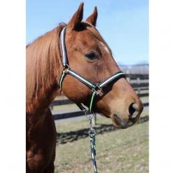JPC Equestrian Tuffrider Nylon Breakaway Halter And Lead 20 JPC Equestrian Tuffrider Nylon Breakaway Halter And Lead