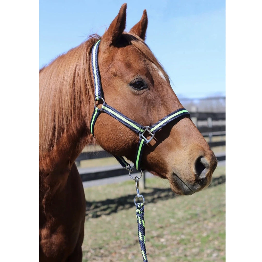JPC Equestrian Tuffrider Nylon Breakaway Halter And Lead 11 JPC Equestrian Tuffrider Nylon Breakaway Halter And Lead