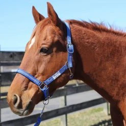 JPC Equestrian Tuffrider Nylon Breakaway Halter And Lead 21 JPC Equestrian Tuffrider Nylon Breakaway Halter And Lead