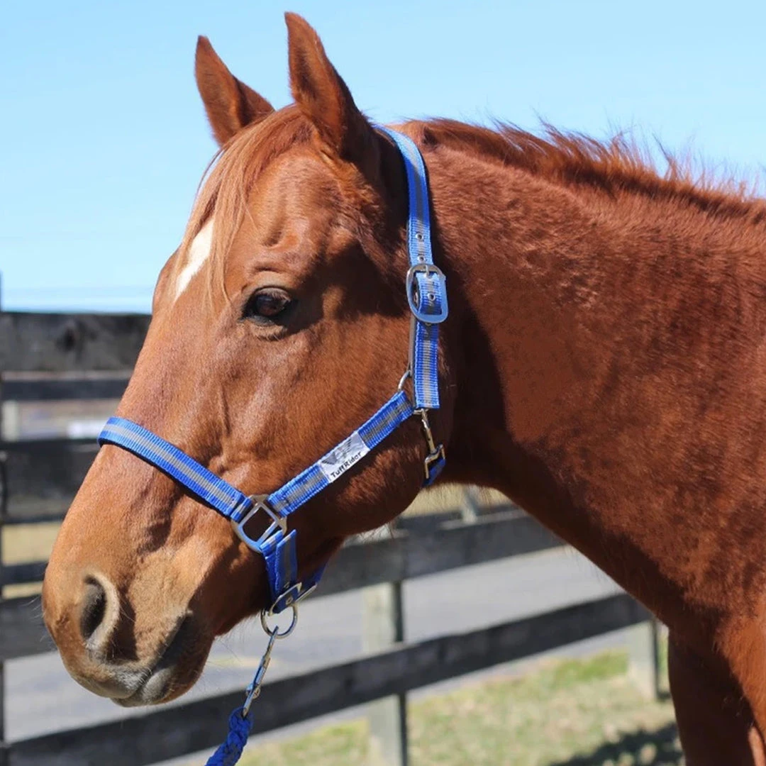 JPC Equestrian Tuffrider Nylon Breakaway Halter And Lead 12 JPC Equestrian Tuffrider Nylon Breakaway Halter And Lead