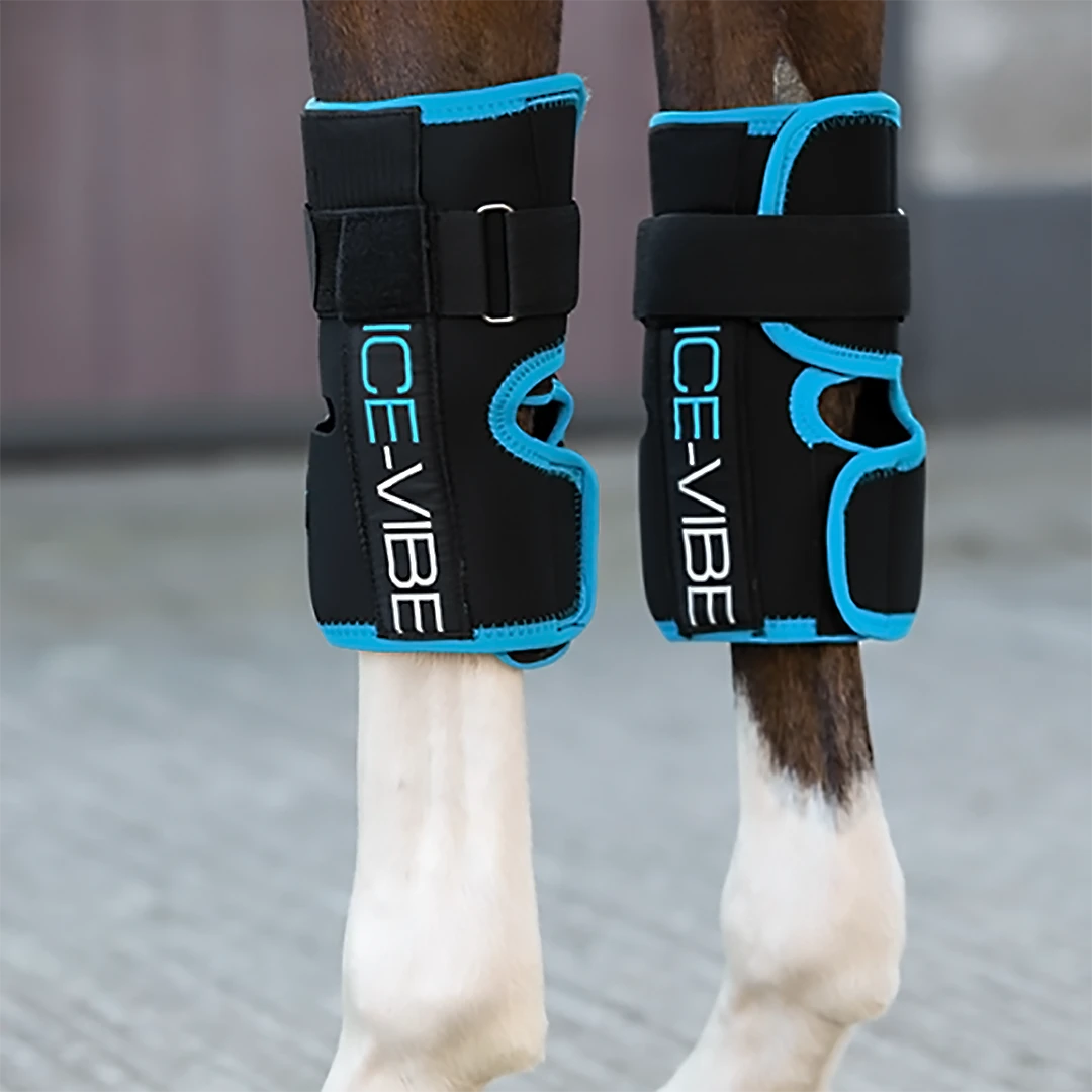 Therapeutic Horse Boots & Wraps Ice-Vibe Knee Wrap By Horseware 3 Therapeutic Horse Boots & Wraps Ice-Vibe Knee Wrap By Horseware