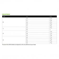 KASK Dogma Pure Shine Chrome Riding Helmet Helmets 11 KASK Dogma Pure Shine Chrome Riding Helmet Helmets