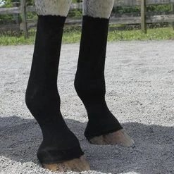 Grooming EquiFit Horsesox