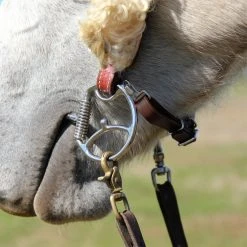 Toklat Originals Myler Leather Curb Strap Kit Horse Bits
