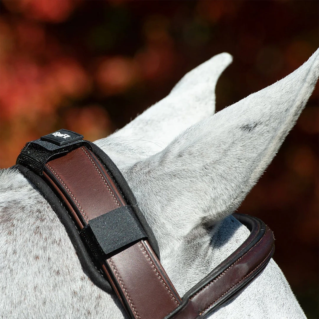 EquiFit ImpacTeq CrownPad English Bridles 4 EquiFit ImpacTeq CrownPad English Bridles