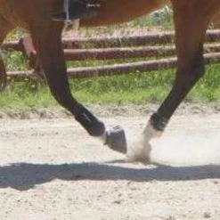 ThinLine Gatorbootz Bell Boot Horse Boots & Wraps