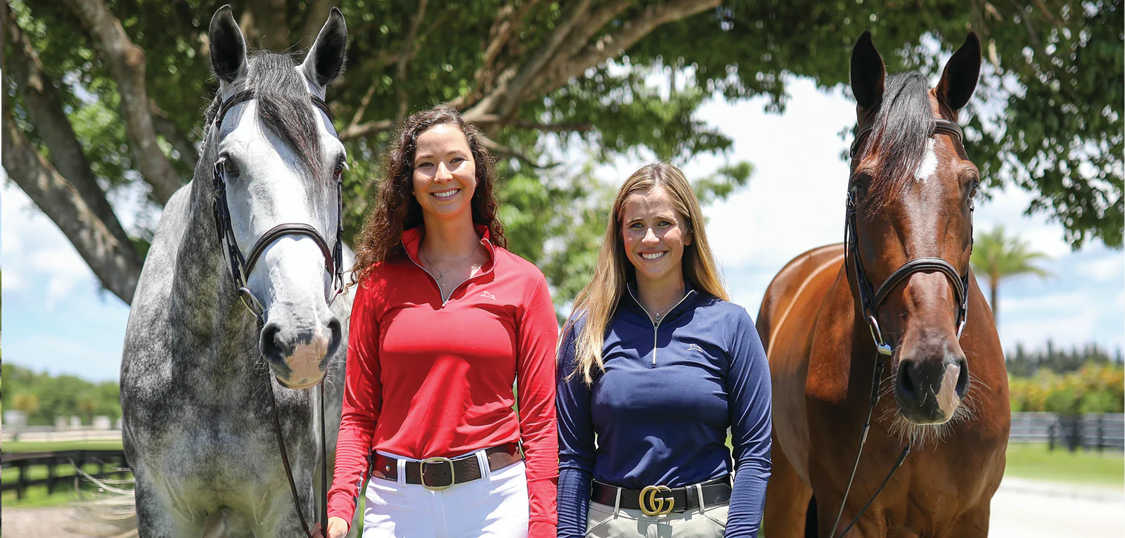 Outlet Farm House Tack Store 10 Outlet Farm House Tack Store -Outlet Farm House Tack Store 5678954